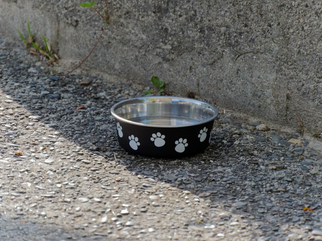 Comedouro elevado para cães e gatos