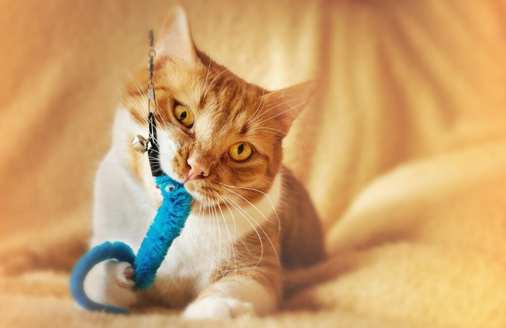 Gato entediado