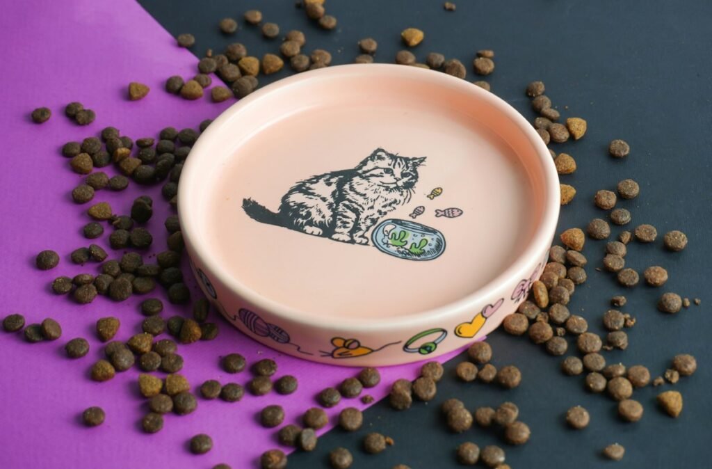 Onde colocar o comedouro e o bebedouro do pet em casa
